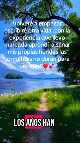 #creatorsearchinsights #losañosanpasado #sinprisaperosinpausa 