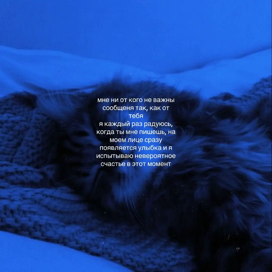 #рекомендации #fypシ #люблю 