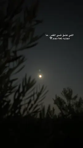 اللي عشق ضي القمر ، ما تجذبه لمعة نجم.✨  #سيناء #بئر_العبد #fypシ゚viralشمال_سينا🌚🍂اكسبلور #بدو_سيناء_بدو_مصر #تصويري_احترافي_الاجواء👌🏻🕊😴 #بلي_ولنا_في_قمة_المجد_رايات 