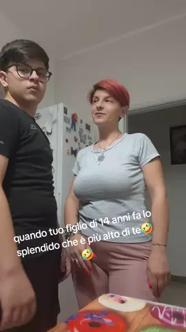 #mammaefiglio #viralestiktok #voliamoneiperte 