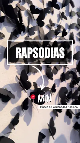 Ayer se despidieron las rapsodias del @MINHonduras , una nube de mariposas viajera que hizo una hermosa visita a Tegucigalpa. Carlos Amorales gracias por mostrarnos tu arte. 🦋 #Rapsodias #MINHonduras #fyp #viral