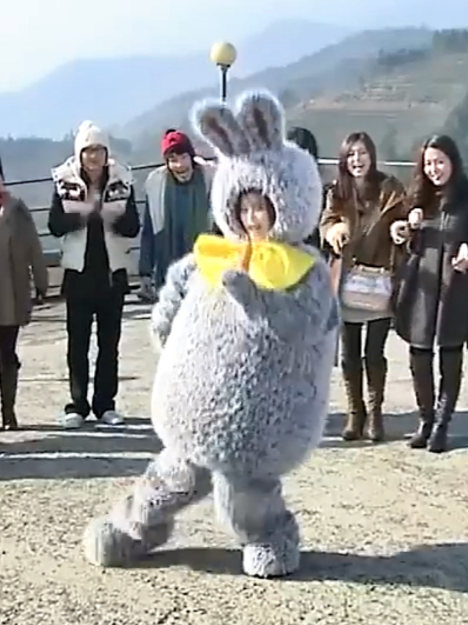 IU bunny #chitokpop #kpop #iu #funny #bunny 