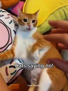 Owee no no #foryoupagе #funk #phonk #fyp 