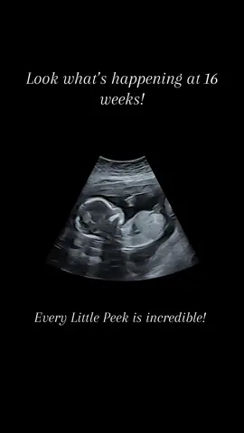 👶 What’s Happening at 16 Weeks? Baby’s brain is growing fast, and they’re starting to move more in response to signals from their developing nervous system. Baby’s heart is fully formed and working hard, circulating blood around their tiny body many times a day. Even at this stage, their heart is incredibly active and efficient! Bones are hardening and becoming more visible on ultrasound as baby’s skeleton develops. You might see baby moving their hands, sucking their thumb, or even reacting to gentle touches. Their ears are fully formed, and they may soon start to hear sounds like your heartbeat and voice. The placenta is now doing all the work, delivering oxygen and nutrients while removing waste. Baby’s skin is still thin, but soft protective hair (lanugo) is beginning to grow across the body. Every scan at this stage captures something truly magical,  an unforgettable Little Peek into life unfolding before your eyes. 💗💙#LittlePeekBaby #PregnancyMagic #UltrasoundMoments #MidwifeSonographer #ColchesterMums #PregnancyUltrasound #JoinOurJourney #LittlePeekBabyUltrasound #GenderReveal 