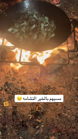 #قوهم_عربان_التيك_توك🙋👋 