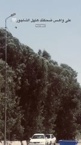 على واهس #شعر #سمير_صبيح #جبار_رشيد #explore 