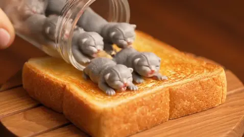 Kittens on toast? #kittenbuttertoast #aiasmr #asmrai #fyp #kittenmukbang #toastasmr 
