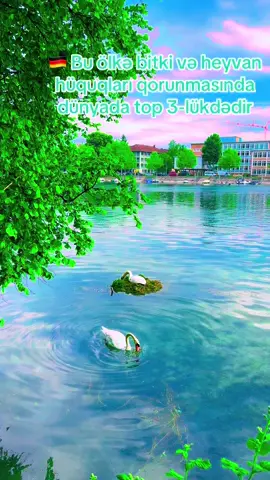 #konstanz🔥👑 #almaniya🇩🇪 #germany🇩🇪 #azərbaycantiktok🇦🇿🇦🇿 #keşfetteyizzz #kəşfetazərbaycan #bakugo #bakı #sumqayıt #gözəllik 