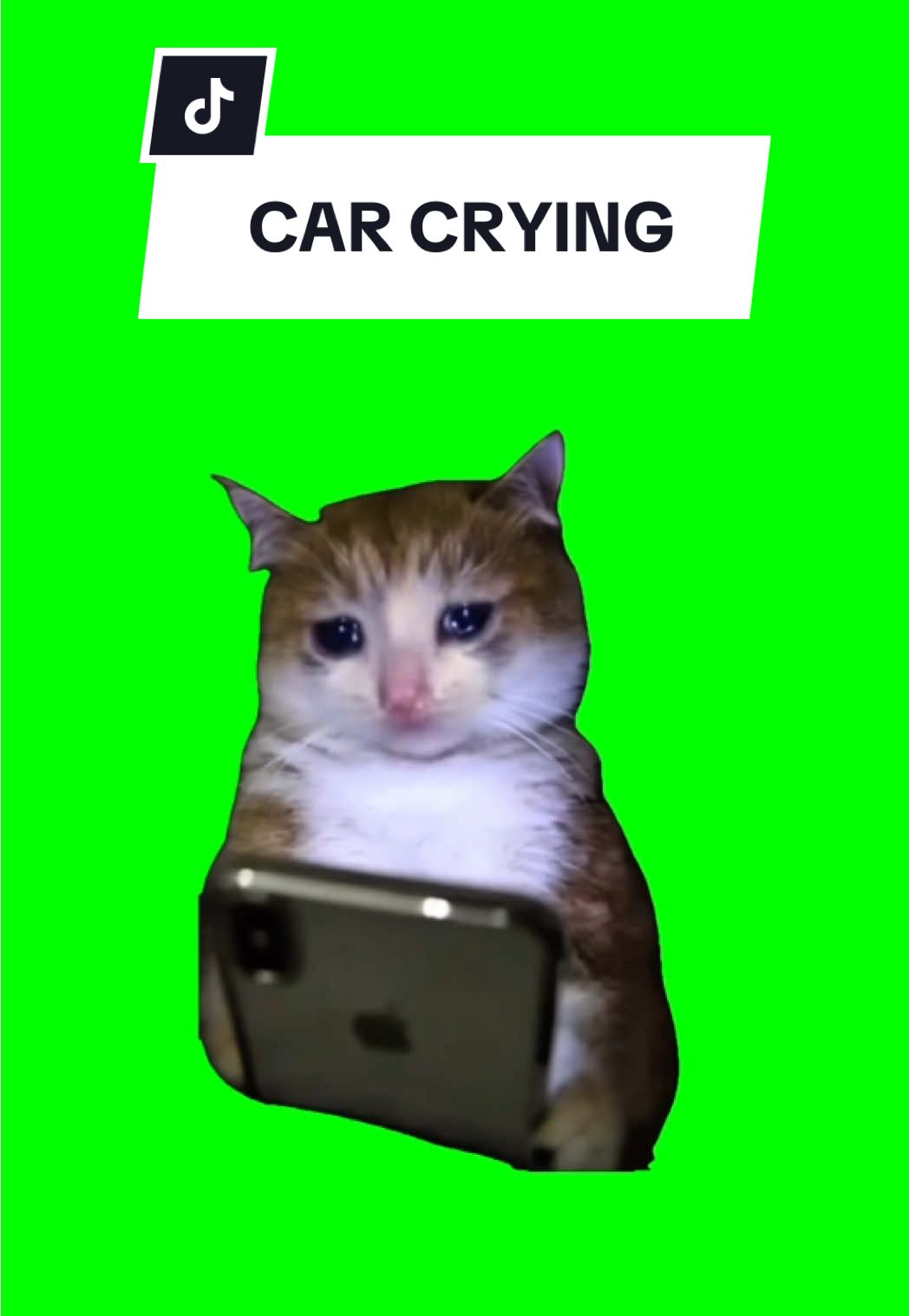 #CapCut CAT CRYING #greenscreen #greenscreenvideo #greenscreenoverlays #fyp #fyppage #fypシ❤️💞❤️ #meme #memes #memestagram #freefirememe #memepage #viral #viralvideos #viralreels #viralvideo #viralpost  #cat #cats #catsofinstagram #catlover #catmemes #catmeme #trend #trending #catcrying 