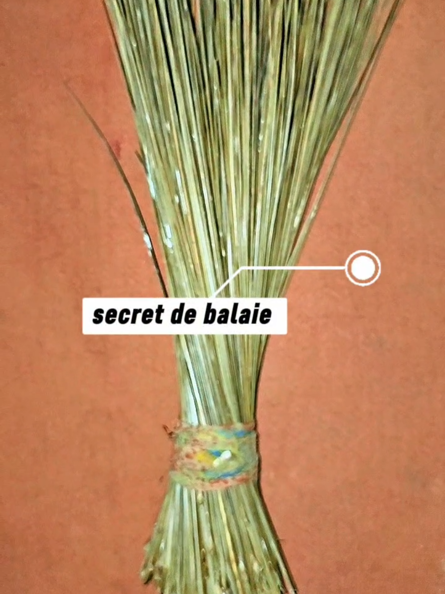 la spiritualité na pas de limite 