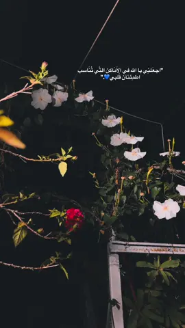 #يارب #بدون_موسيقي #foryou #rxplore 