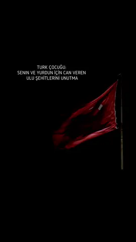 TURK ÇOCUĞU: SENIN VE YURDUN İÇİN CAN VEREN ULU ŞEHİTLERİNİ UNUTMA #keşfet #öneçıkar #türkaskeri #şehit #CapCut 