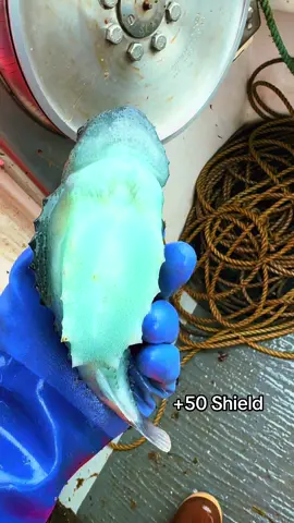 Slurp Fish #real #fortnite #viral #fyp 
