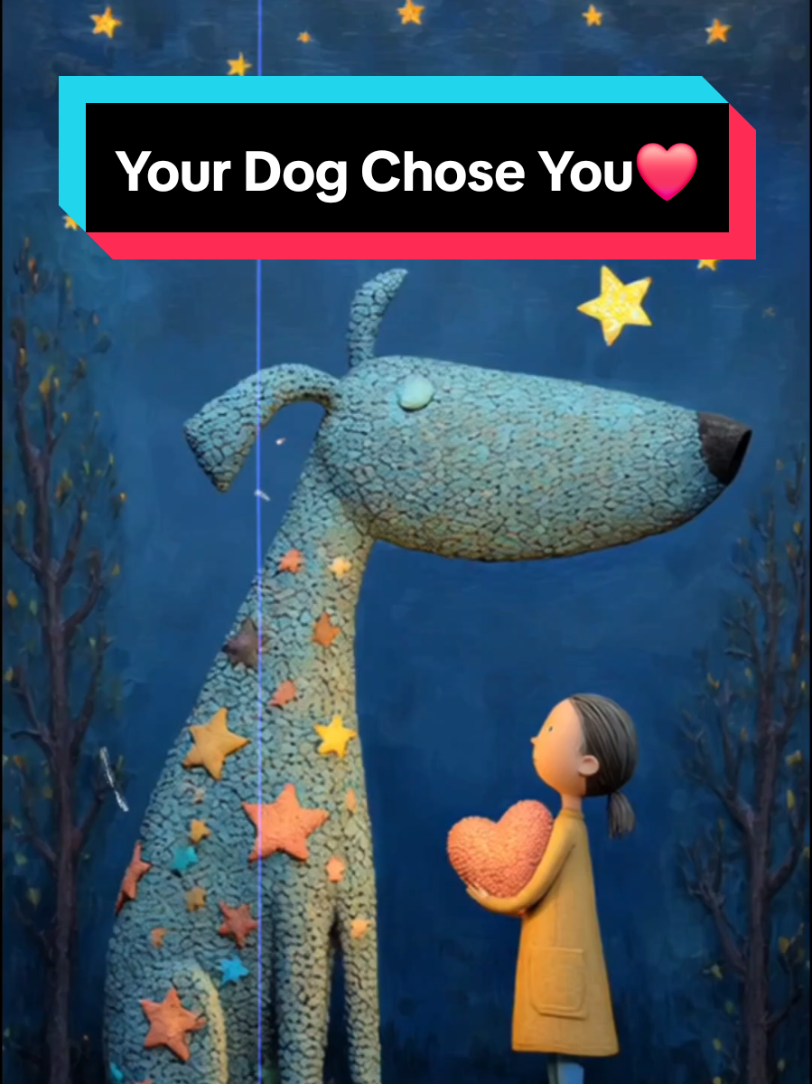 Original content © Selftrue.journey | All rights reserved  Your Dog Chose You❤️  #doglove #unconditionallove #foreverinmyheart #dogloss #soulconnection #dog #doglover #animalconsciousness #animalrights #govegan #vegan #dogrescue #animalrescue #viral #emotionalstory #lostpet #lostdog #god #