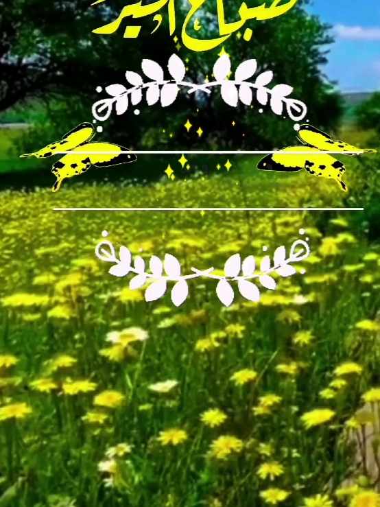 #دعاء_الصباح #صباحكم_أحلى_صباح #صباح_الخير #اسعد_الله_جميع_اوقاتكم🌹🌹 #دعاء #يوم_الاربعاء #اللهم_امين #حالات_واتس #foryoupage #fypシ゚ #ArabTikTok #g @Symba 