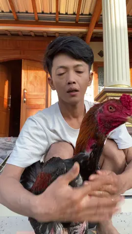 Tak jelasno konco kenek opo iki ra tak edu