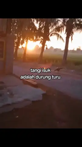 #4u #fypforyou #storytime #xyzbca #bismillahfypシ #masukberanda #fyp 