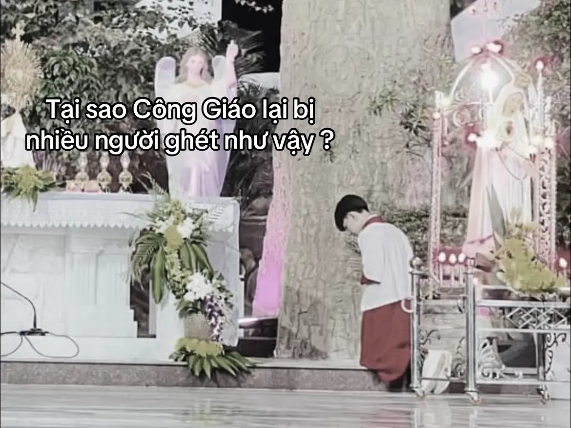 ✝️#conggiao #xh #nguoiconggiaovietnam 