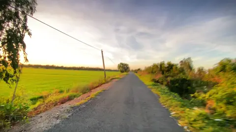 buổi sáng ở quê #canhdepthiennhien #chill #mientay #canhdep #dongque #xuhuongtiktok #fyp #xuhuong #typ #bautroi #