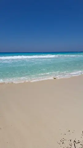 #مطروح 