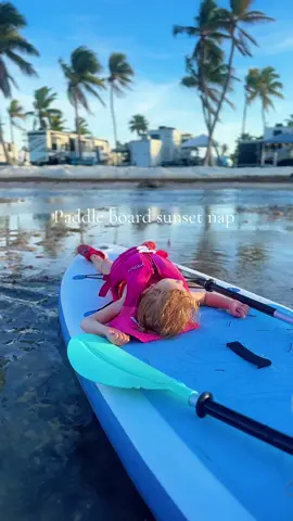 I wish I could be her 🤣 #FlordiaKeys #rvlife #FamilyTravel #TheRollingFive #sunset 