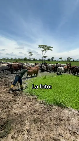 🤠