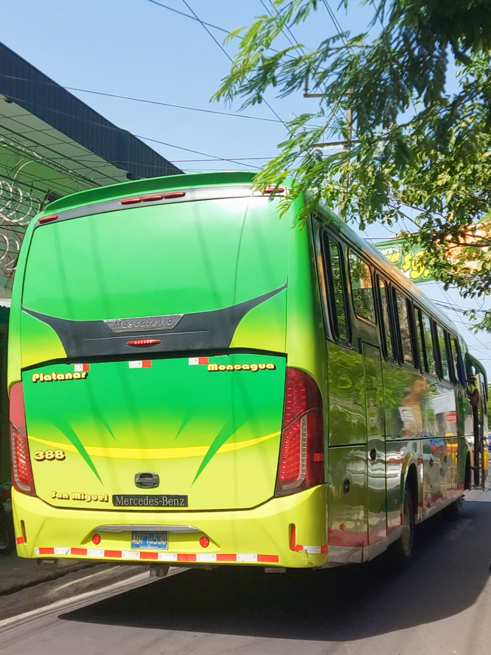 ✨️Buenas Noches✨️ Chulada De Mascarello  Del Platanar💚Ruta 388✨️ San Miguel✨️-Moncagua✨️ El Platanar✨️#buses #paratii  #transporte #mascarello 