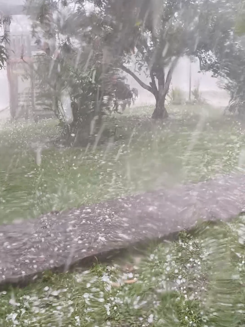 Hoy  8 de julio 2025 Vereda La Graminea Pereira (vía Armenia) nos han enviado un mensaje desde el cielo.  En todo caso fue brutal! Lamento mucho si le ha tocado esta granizada a caficultores o agricultores de lo que sea.  #granizadapereirarmenia 