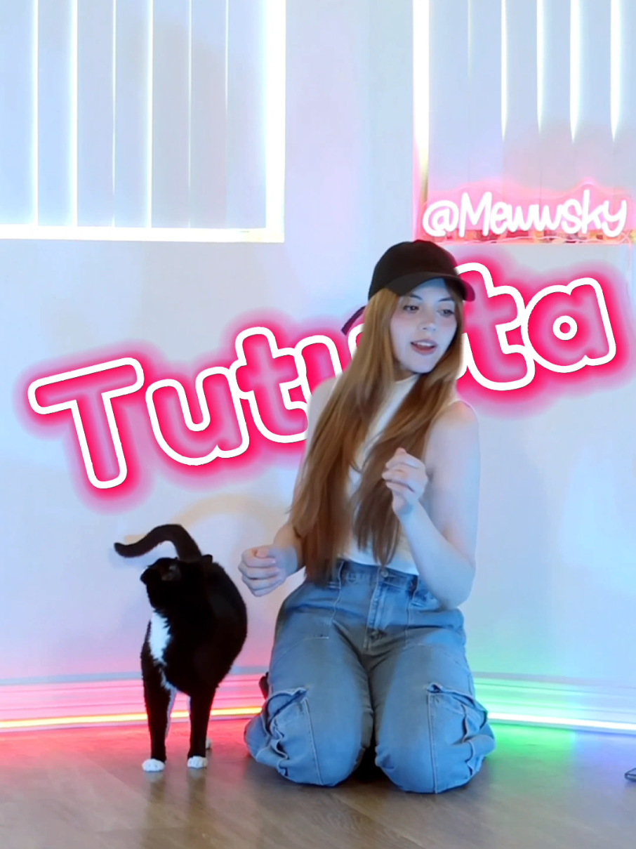 Creo que no me dio un 'Grr' pero la entiendo 😽  #dameungrr #catdance #dancing #newtrend #tiktok2025 