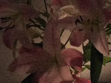 Sienna- the Marias #lyrics #songs #music #viral #fyp #ipod #feels 20,7 mil #relateable #tiktok #repost #video #sienna #themarias @themarias