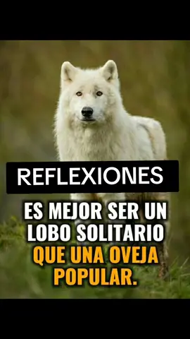 Reflexiones de vida.