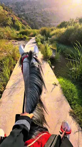 بين نسيم جبال الباحة وصوت خطى الخيل🐎 من اجمل الرحلات مع @مربط دوس | فهد الزهراني 🎠    الباحة #خيل_الباحة #ركوب_الخيل #فروسية #الخيول_العربية #مغامرة_فروسية #خيل_وجبال #جمال_الطبيعة #خيال_وهواء #صباح_الفروسية #صوت_سناب #تصوير_احترافي #صباح_الباحة #سياحة_داخلية #الخيل_عز #خيل_وخياله🐎 #خيل_عربي  #HorsebackRiding #MountainViews #RideWithMe #ArabianHorse #TrailRiding #NatureVibes #PeacefulRide #HorseLife #SunriseRide #EquestrianVibes #HikingWithHorse #BeautifulDestinations #ExploreSaudi #AlBaha #SaudiArabiaVibes #VisitSaudi #المندق 