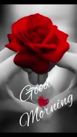 #goodmorning♥️🌧️🌅#foryoupagee #tiktokpk #duett #tiktok #foryou #viralllllll #tiktokpakistan #tiktokoffical 