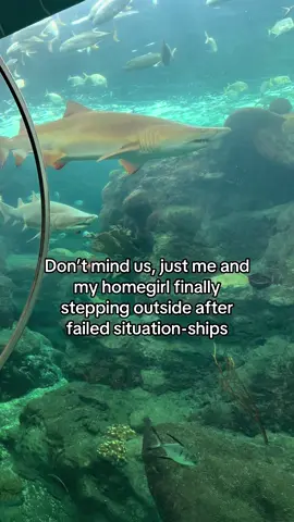 @Sierra 