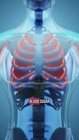 How Does The Body Burn Fat#3d#animation#weightloss#fatloss#health#FatBurning  #BurnFat  #HowFatBurns  #FatLossProcess  #FatMetabolism  #WhereDoesFatGo  #FatBurningExplained  #FatLossJourney  #BodyBurnsFat  #LoseFatNotMuscle