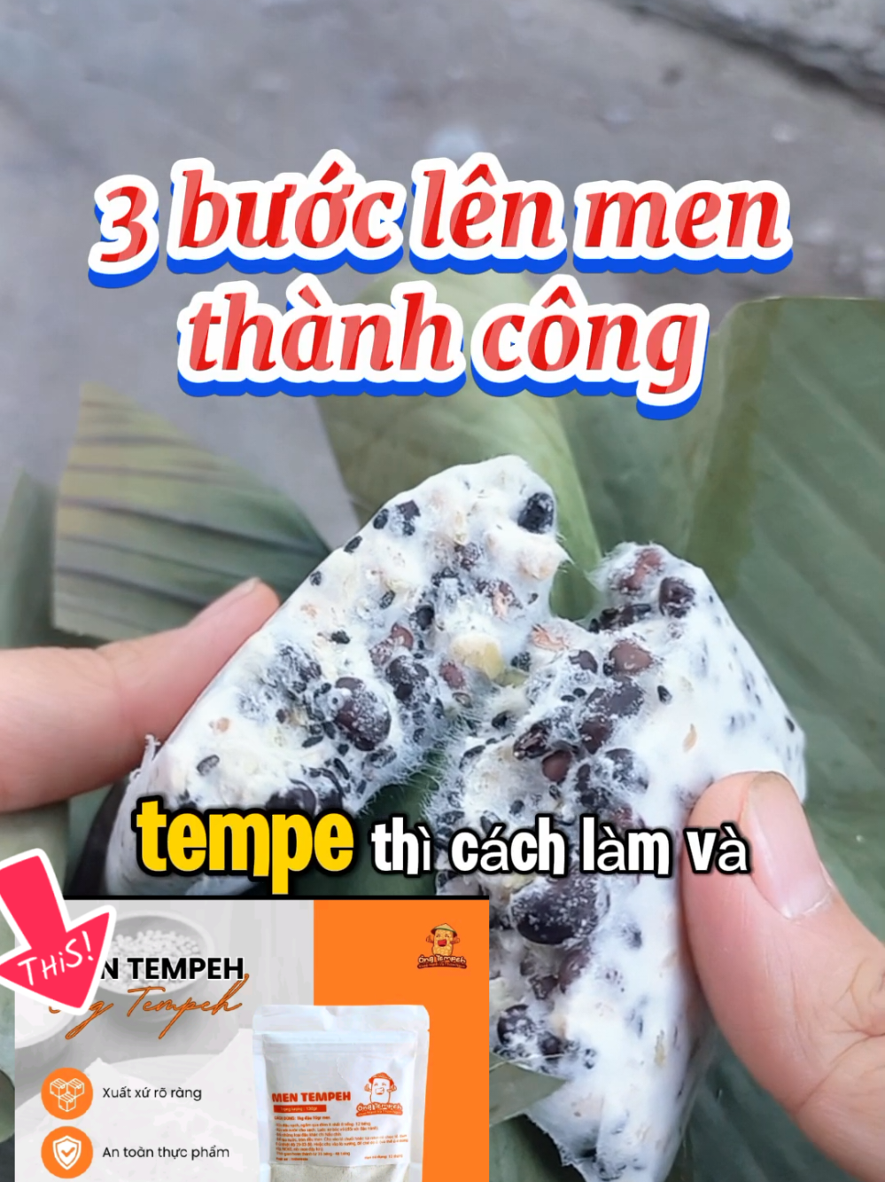 lên men thành công ngay lần đầu #thantaman #xuhuong #chamsocsuckhoechudong #ngocsk #ngocsk4 #tempeh #mentempeh 