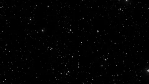 يا ابن شملان للمزيون نظره #يا_ابن_شملان #شملان #عود #711 #الشعب_الصيني_ماله_حل😂😂 #مالي_خلق_احط_هاشتاقات #السعودية #ذياب_الصحراء_الصيعر #711 #دق_العود #تصميم #foryou #fyp #f 