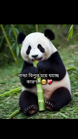 🥲💔 . . . ।#fyp#foryou  #unfreezemyacount 