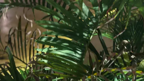 البيضاء♥️#ليبيا #fyp #f #البرعصي🦅 #شعب_الصيني_ماله_حل😂😂 #مشاءالله 