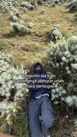 seganteng apa si jaehyun sampe gw di jadiin yg ke dua