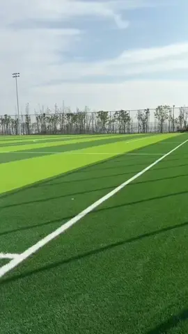 Football pitch construction completed
