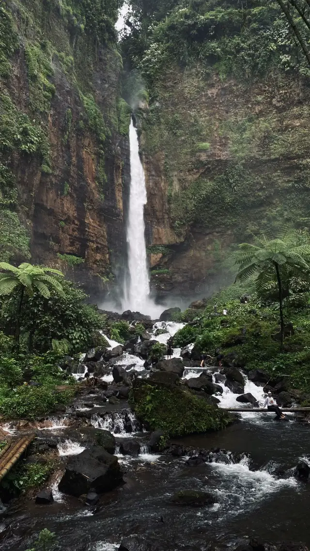 minimal seumur hidup sekali harus kesini meskipun kaki mau copot tapi terbayarkan viewww cakepnya 🙌🏽🤣🌿☘️ #fyp#kapasbiru#lumajang#wisatalumajang#airterjunkapasbirulumajang#pronojiwo#fypシ゚#wisatajatim#lumajangtiktok#kapasbiruwaterfall