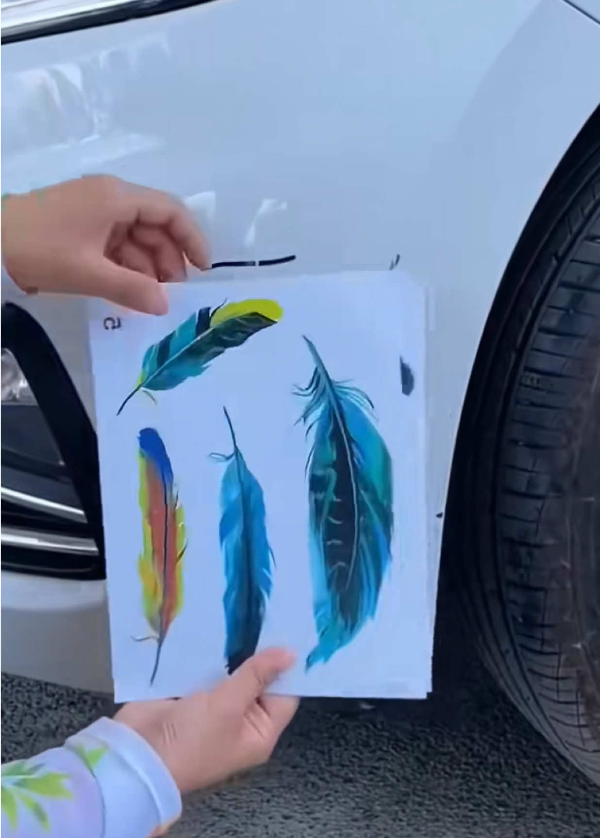 Decal dán vết xước xe ô tô.#decaldanxe #decaldanxeoto #decoroto #phukienoto #oto 