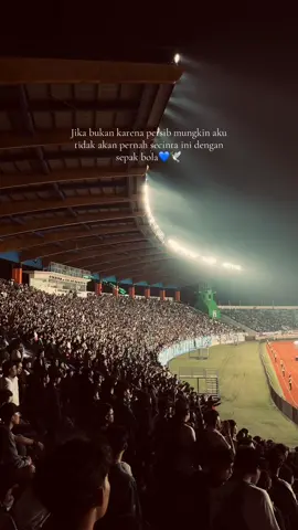 Always persib💙🫶🏻#persib #sijalakharupat 