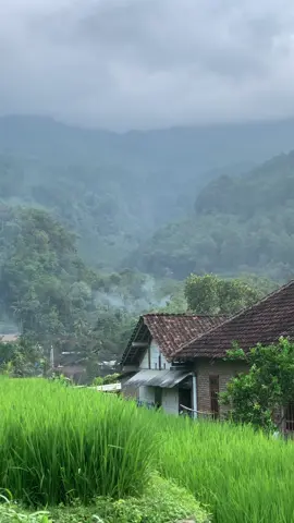 Namung lare gunung 🕊 #suasanapedesaan #rindukampung #pedesaan #ademayem 
