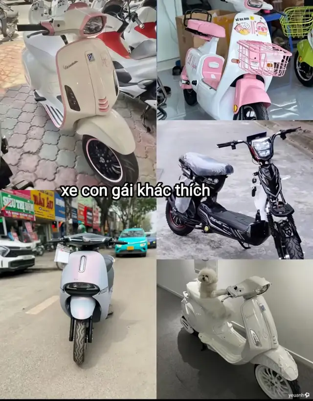 #xhtiktok #xedovietnam 🤩🤩