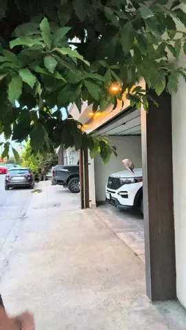 No me sigan.                                                               -                                                                          #humor #sketch #edit 