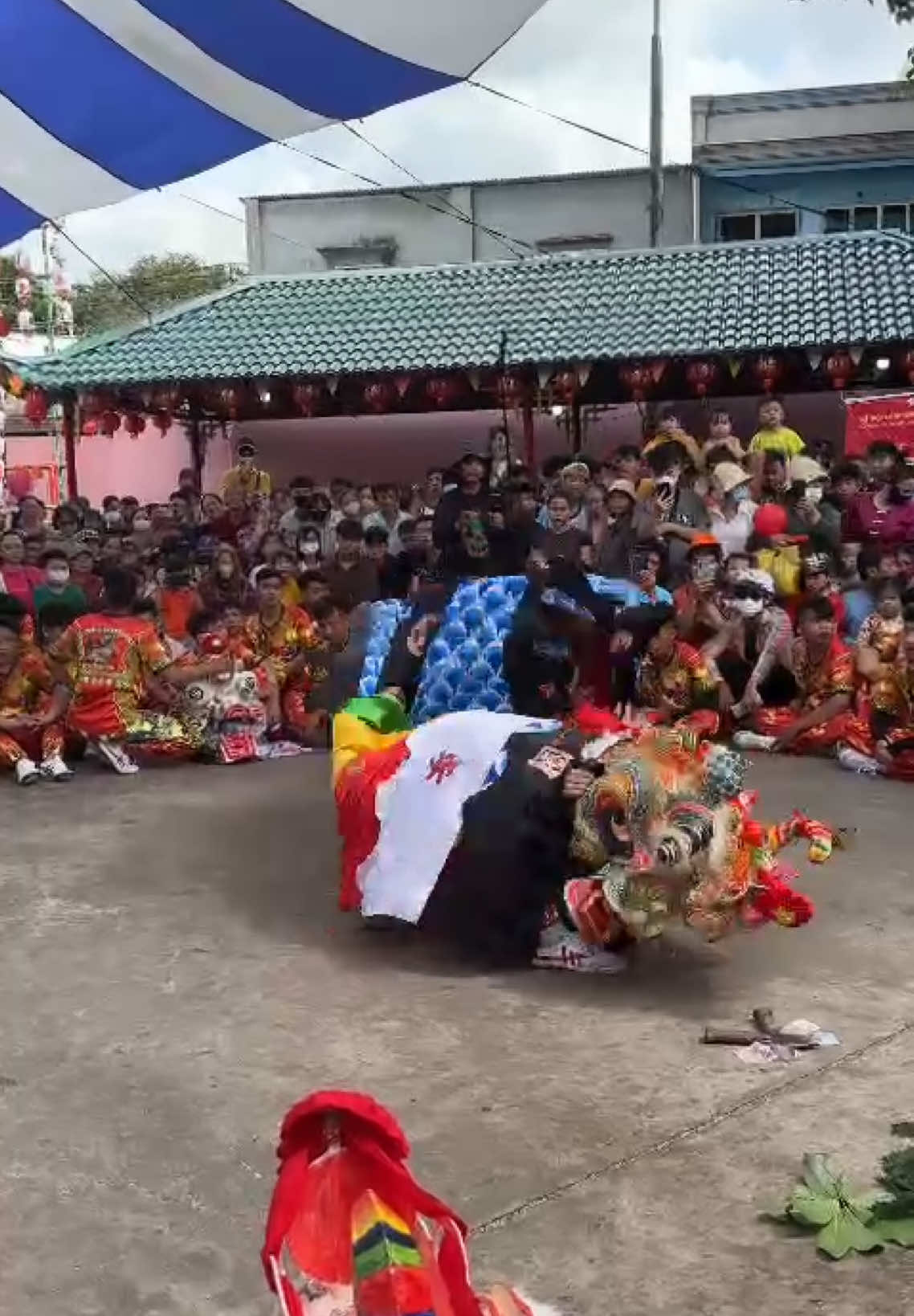 Nghệ thuật múa kỳ lân của người hẹ khách gia 🇻🇳#xuhuớng #xuhuong #viral #kỳlân #lân_sư_rồng_niềm_đam_mê_bất_tận 