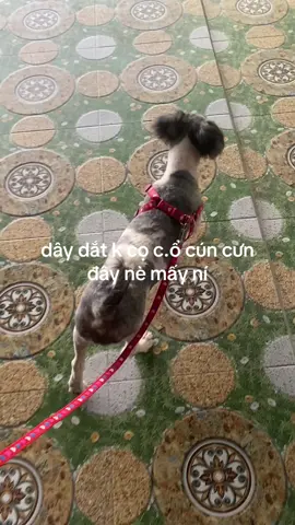 chân ái cho mấy đứa đây r nè nhiều khi k để ý hen,chứ dây bản c.ộ.t. c.ổ....... đau nhỏ lắm lun í🥲 góc trái màng hình nha mấy ní#xuhuongtiktok 