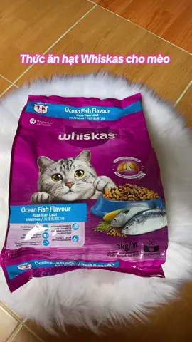 Thức ăn hạt Whiskas cho mèo trưởng thành túi 3kg#whiskas #whiskascat #thucanchomeo #thucanhatchomeo #hatchomeo #xuhuong 